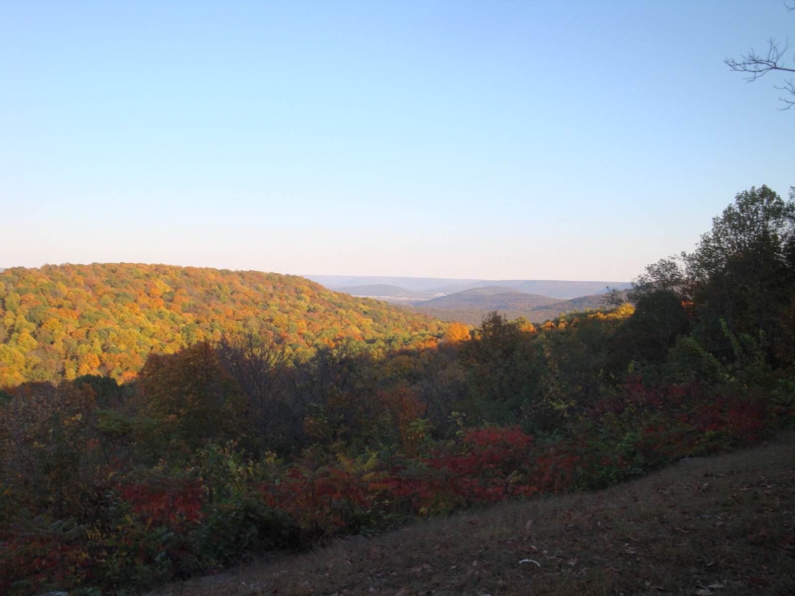 Autumn foliage across the wooded slopes of nearby Monte Sano, photographed in 2011